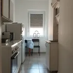 Rent 1 bedroom apartment in Szeged