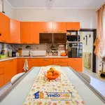 Rent 4 bedroom apartment of 100 m² in Torino