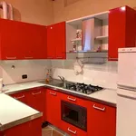 Rent 1 bedroom apartment of 50 m² in Novara