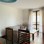 Rent 2 bedroom apartment of 60 m² in Muggiò