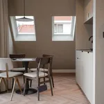 Huur 3 slaapkamer appartement van 33 m² in The Hague