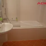 Pronajměte si 2 ložnic/e byt o rozloze 47 m² v Prague