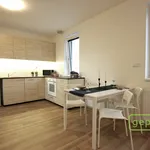 Rent 1 bedroom apartment in Vyškov