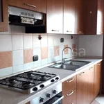 Rent 1 bedroom apartment of 30 m² in San Bonifacio