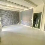 Rent 3 bedroom apartment of 130 m² in Torino