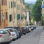 Rent 4 bedroom apartment of 80 m² in Siena