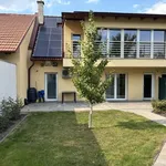 Rent 2 bedroom apartment of 50 m² in G