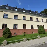 Rent 2 bedroom apartment of 53 m² in Chemnitz