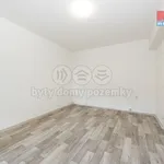 Rent 1 bedroom apartment in Ústí nad Labem