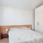 Rent 1 bedroom apartment of 35 m² in bologna