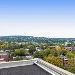 Rent 1 bedroom apartment in Westmount