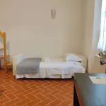 Rent 1 bedroom apartment of 50 m² in florence