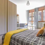 Rent a room in padua