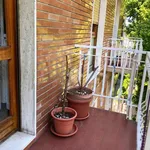 Rent 3 bedroom apartment of 90 m² in Seregno