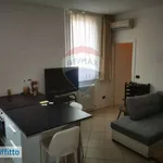 Rent 3 bedroom apartment of 80 m² in Bologna