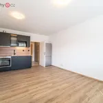 Rent 1 bedroom apartment of 26 m² in Praha