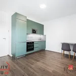 Rent 1 bedroom apartment of 40 m² in Vyškov