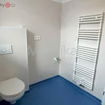 Rent 3 bedroom apartment of 83 m² in Lanškroun