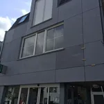 Rent 1 bedroom apartment in Brugge