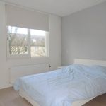 Rent 5 bedroom house of 110 m² in Hoofddorp Toolenburg West