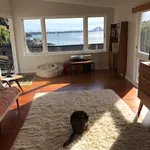 Rent 3 bedroom house in Tauranga