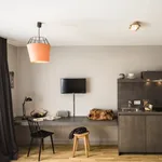 Miete 1 Schlafzimmer wohnung von 20 m² in Frankfurt