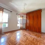 Rent 5 bedroom apartment of 90 m² in Padova