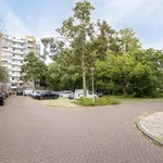 Rent 4 bedroom apartment of 88 m² in Buitenveldert-West