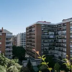 Rent a room of 140 m² in madrid