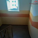 Rent 2 bedroom apartment of 38 m² in Toruń