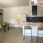 Rent 2 bedroom apartment of 95 m² in Opava