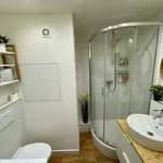 Rent 1 bedroom apartment of 43 m² in Prague