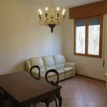 Rent 4 bedroom apartment of 90 m² in Bologna