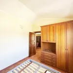 Rent 2 bedroom apartment of 50 m² in Sassari