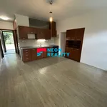 Rent 1 bedroom apartment of 33 m² in Ostrava