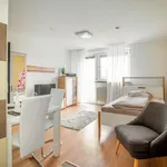 Rent 1 bedroom apartment of 37 m² in Nürnberg