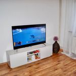 Rent 1 bedroom apartment of 60 m² in Kaiserslautern