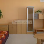 Rent 1 bedroom apartment in Plzeň