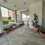 Penthouse viale Giacomo Matteotti 125, Centro, Nettuno