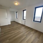 Rent 3 bedroom apartment of 123 m² in Eindhoven