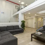 Rent 20 bedroom apartment in Lisbon