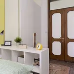 Rent a room in bologna