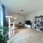 Maison de 220 m² avec 4 chambre(s) en location à Lievegem