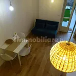 Rent 1 bedroom apartment of 45 m² in Turin