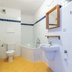 Rent 1 bedroom apartment of 35 m² in Prague