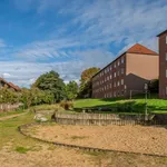 Rent 2 bedroom apartment of 50 m² in Kiel