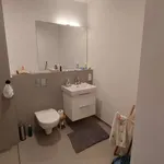 Rent 1 bedroom apartment of 45 m² in berlin