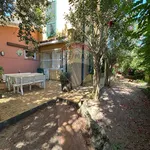 Rent 2 bedroom apartment of 50 m² in Orbetello