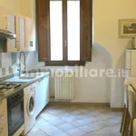 Rent 1 bedroom house of 20 m² in Siena