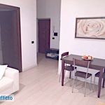 Rent 1 bedroom apartment of 55 m² in Rome